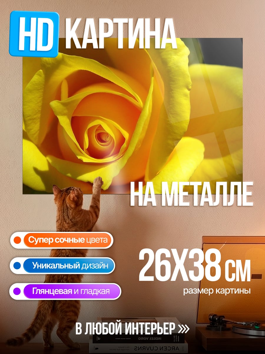 Картина на металле Желтая роза крупным планом
