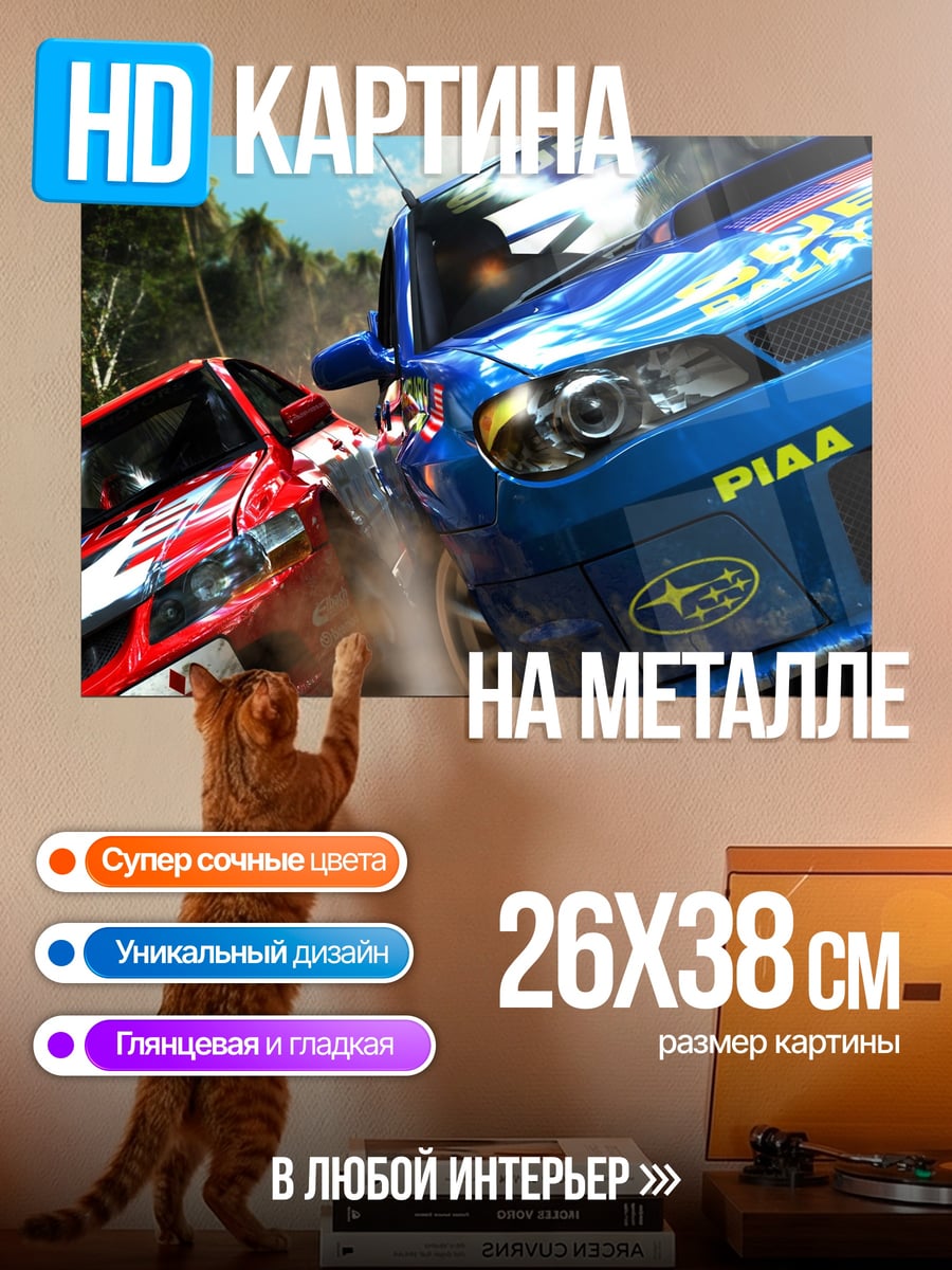 Картина на металле Гонка машин ралли