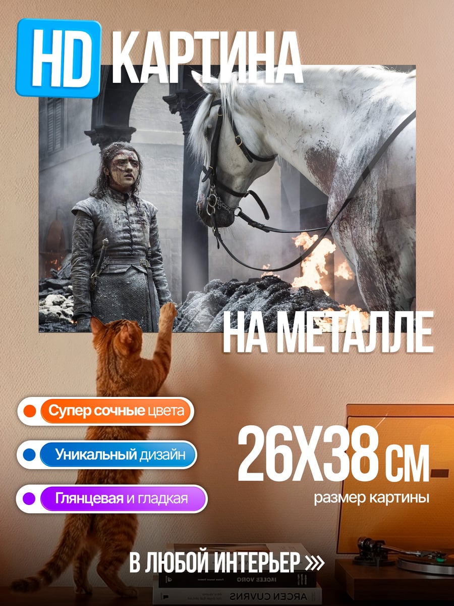Картина на металле Арья Старк с конем