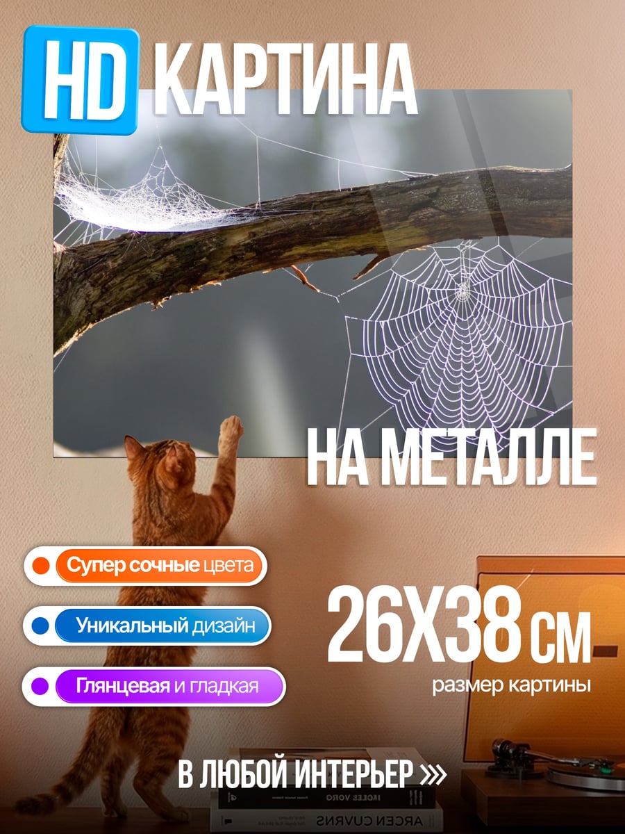 Картина на металле паутина на ветке