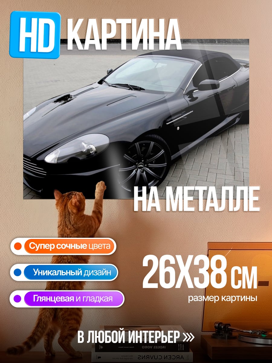 Картина на металле чёрный спорткар