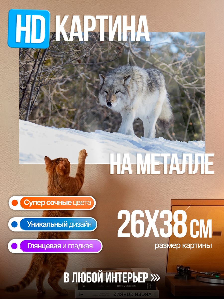 Картина на металле серый волк