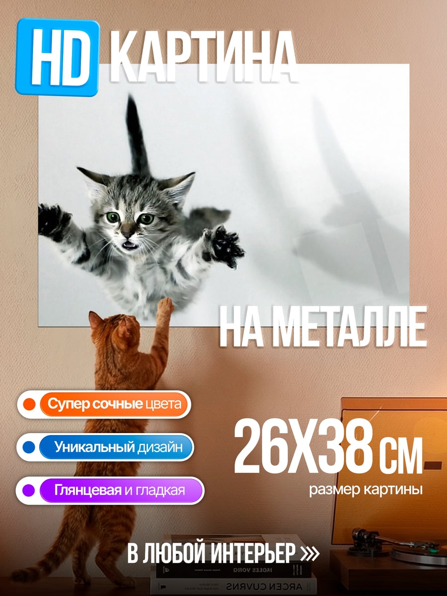 Картина на металле летающий котёнок