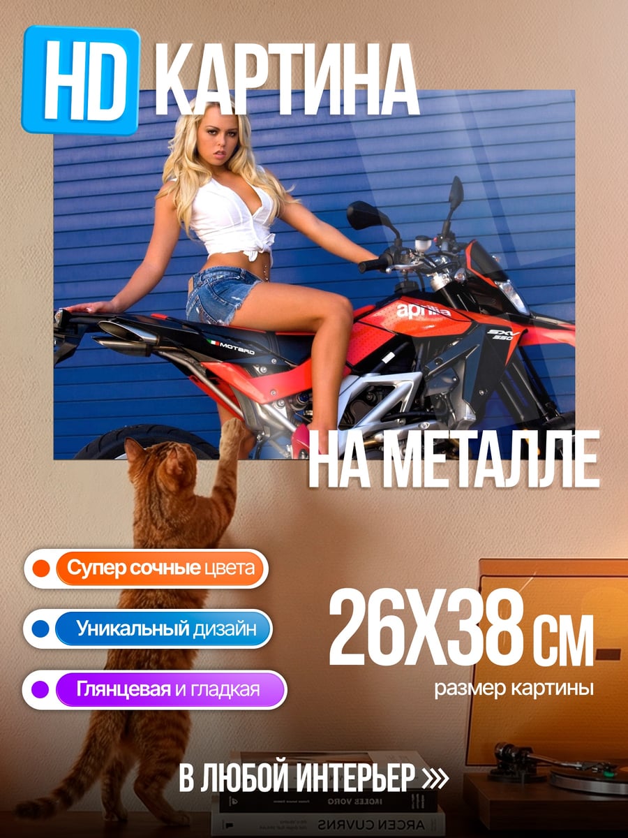 Картина на металле Девушка на мотоцикле