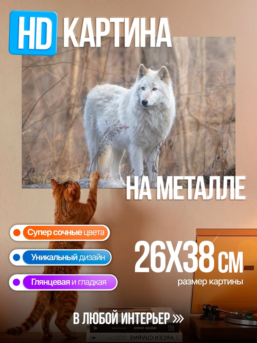 Картина на металле Белый волк в лесу