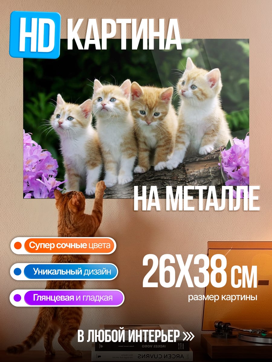 Картина на металле Четыре котенка
