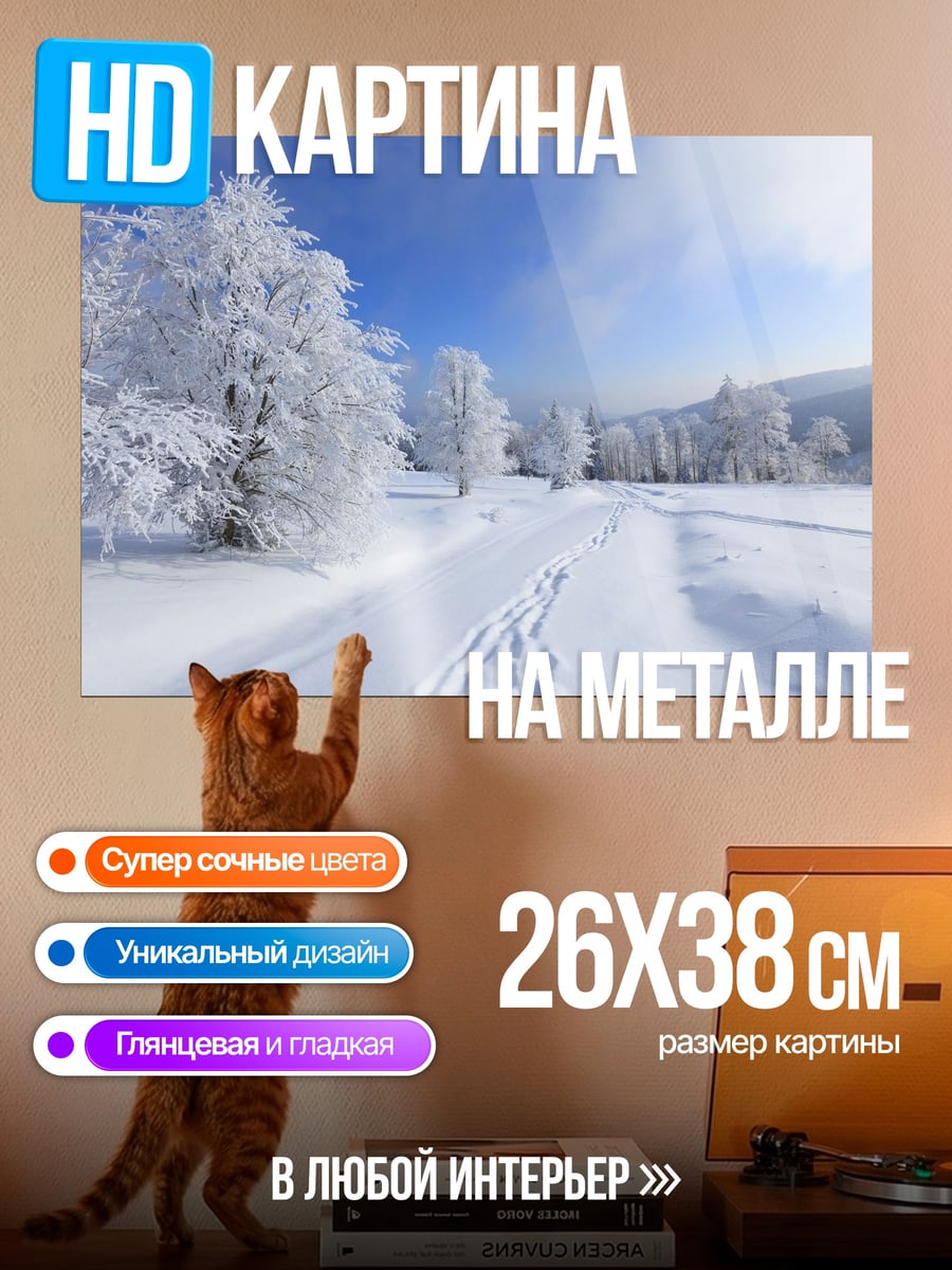 Картина на металле зимняя дорога