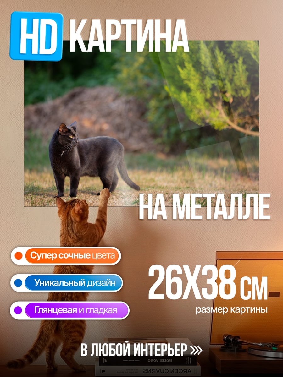 Картина на металле Серый кот на траве