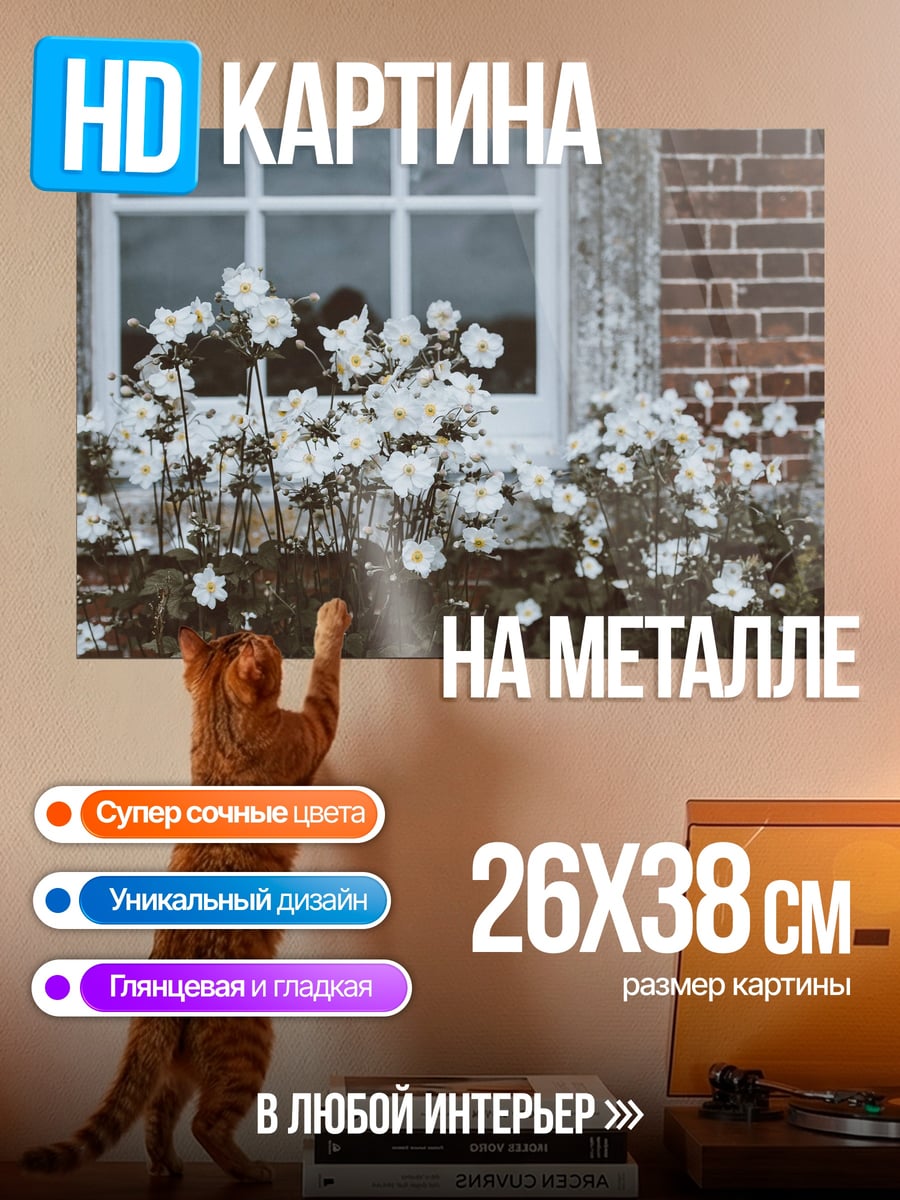 Картина на металле Белые цветы у окна