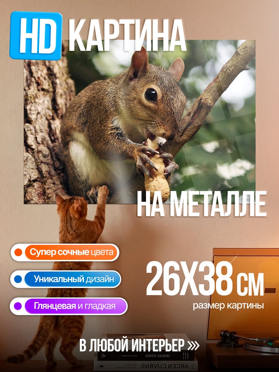 Картина на металле Белка с орехом