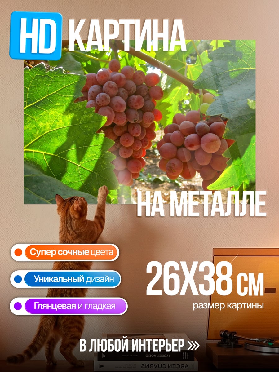 Картина на металле Красный виноград