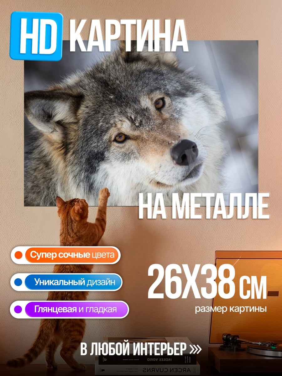 Картина на металле Портрет волка