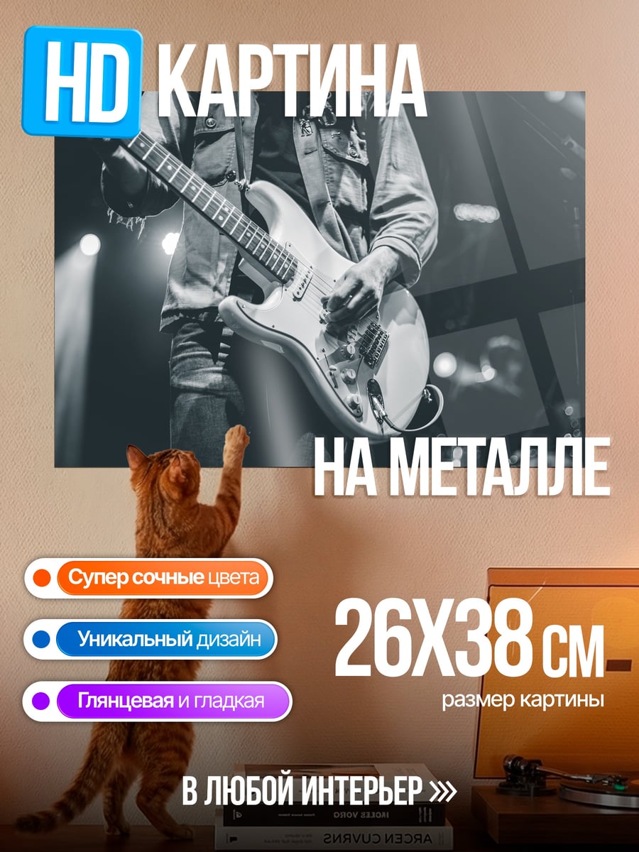 Картина на металле Гитарист на сцене