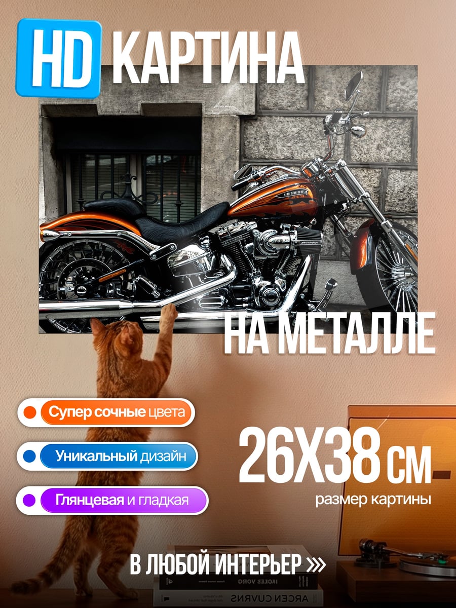 Картина на металле чоппер у стены