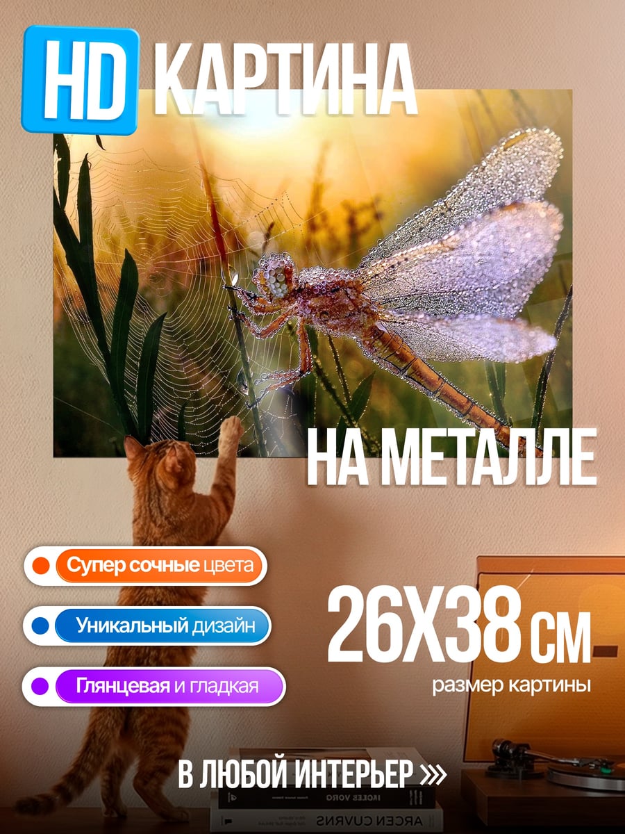Картина на металле Стрекоза на паутине