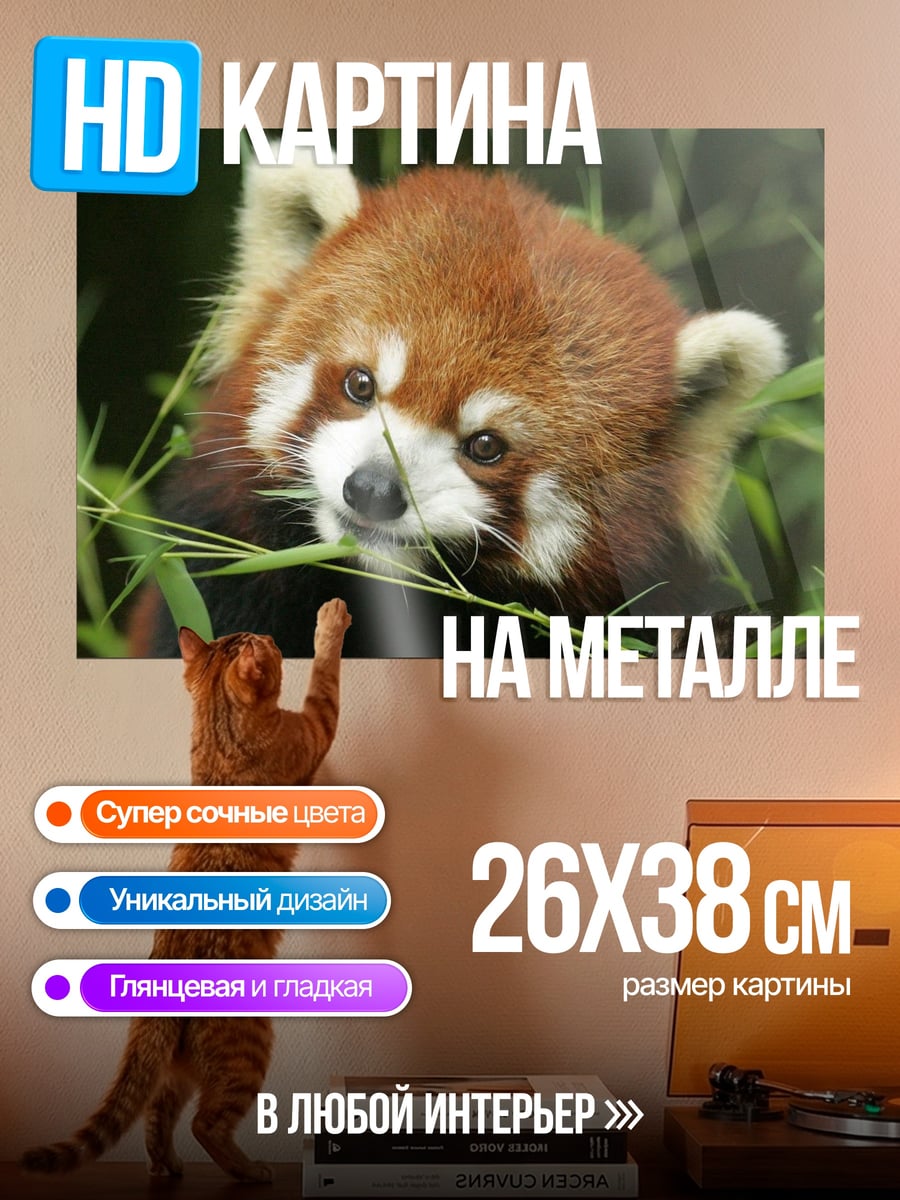 Картина на металле красная панда ест