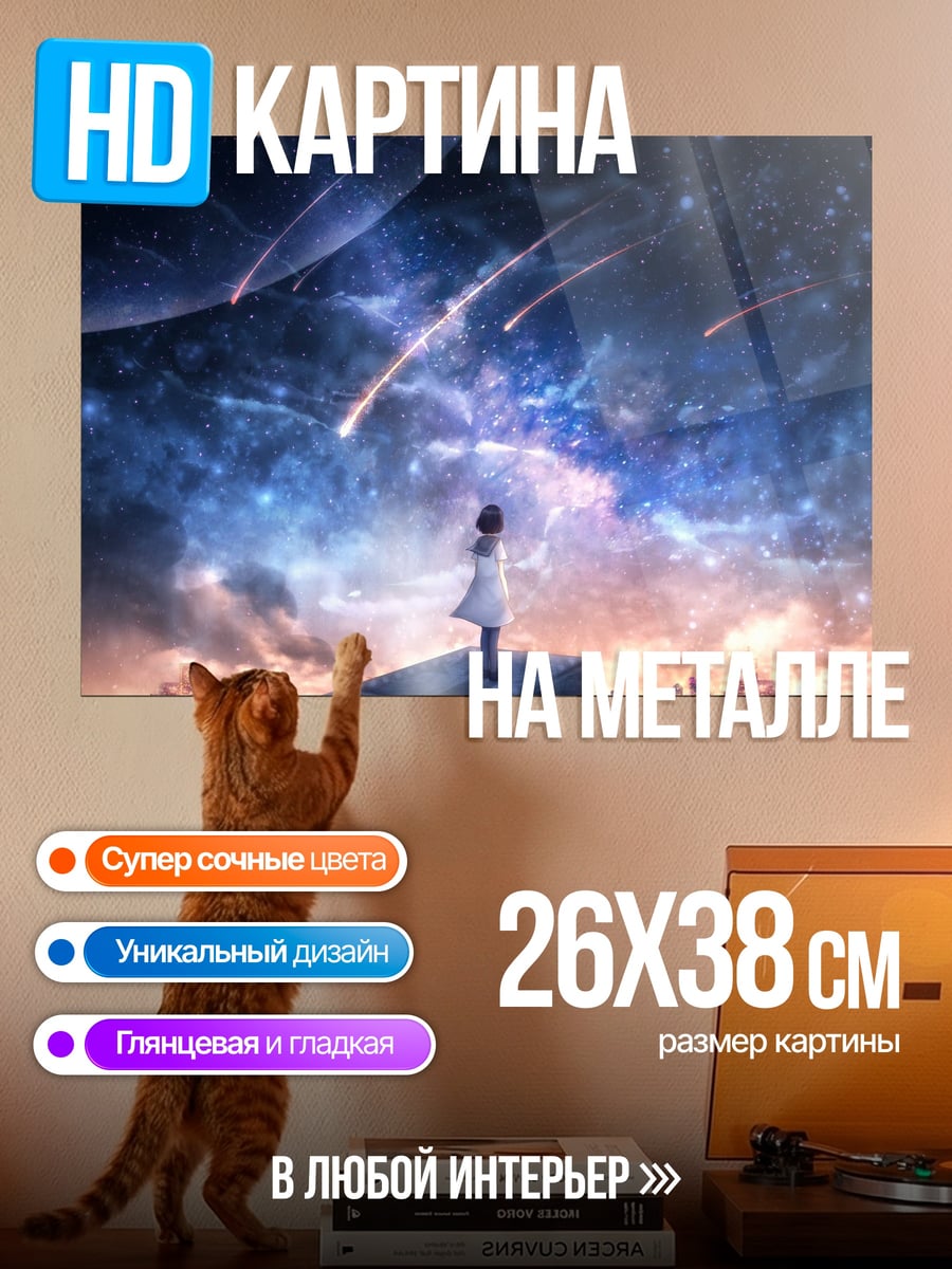 Картина на металле Девушка смотрит на звезды