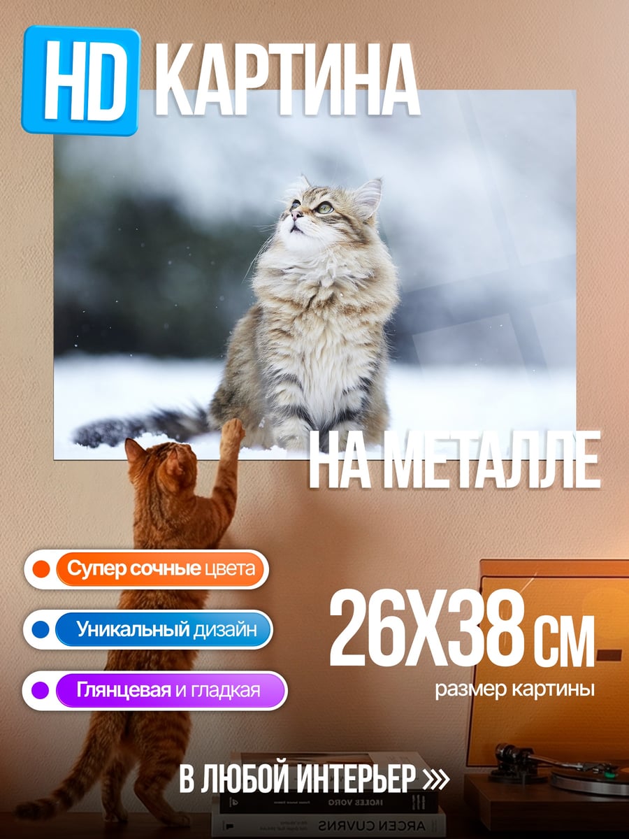 Картина на металле кот в снегу
