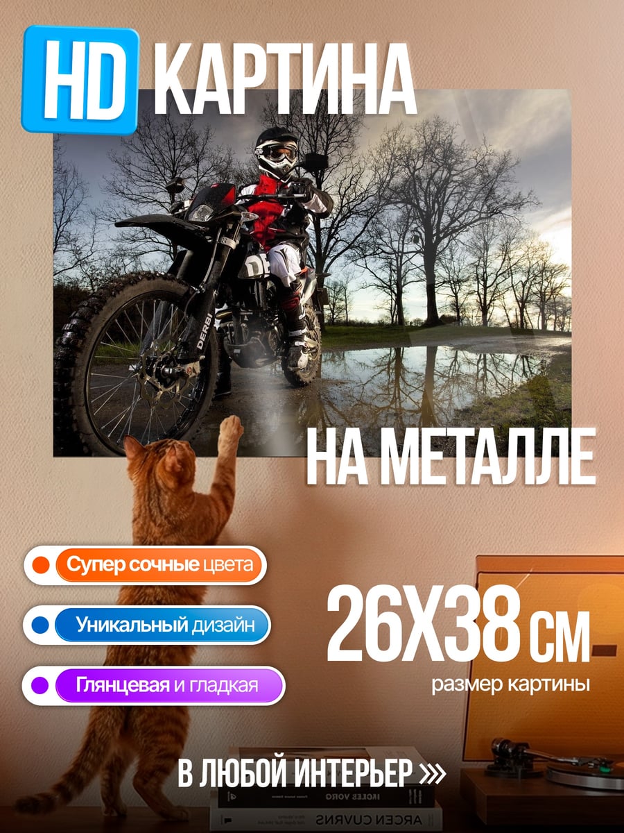 Картина на металле Мотоциклист в грязи