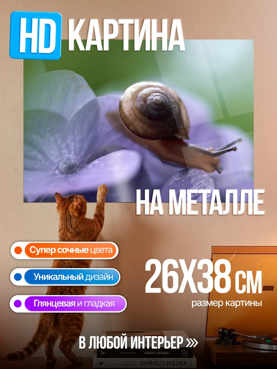 Картина на металле Улитка на цветке