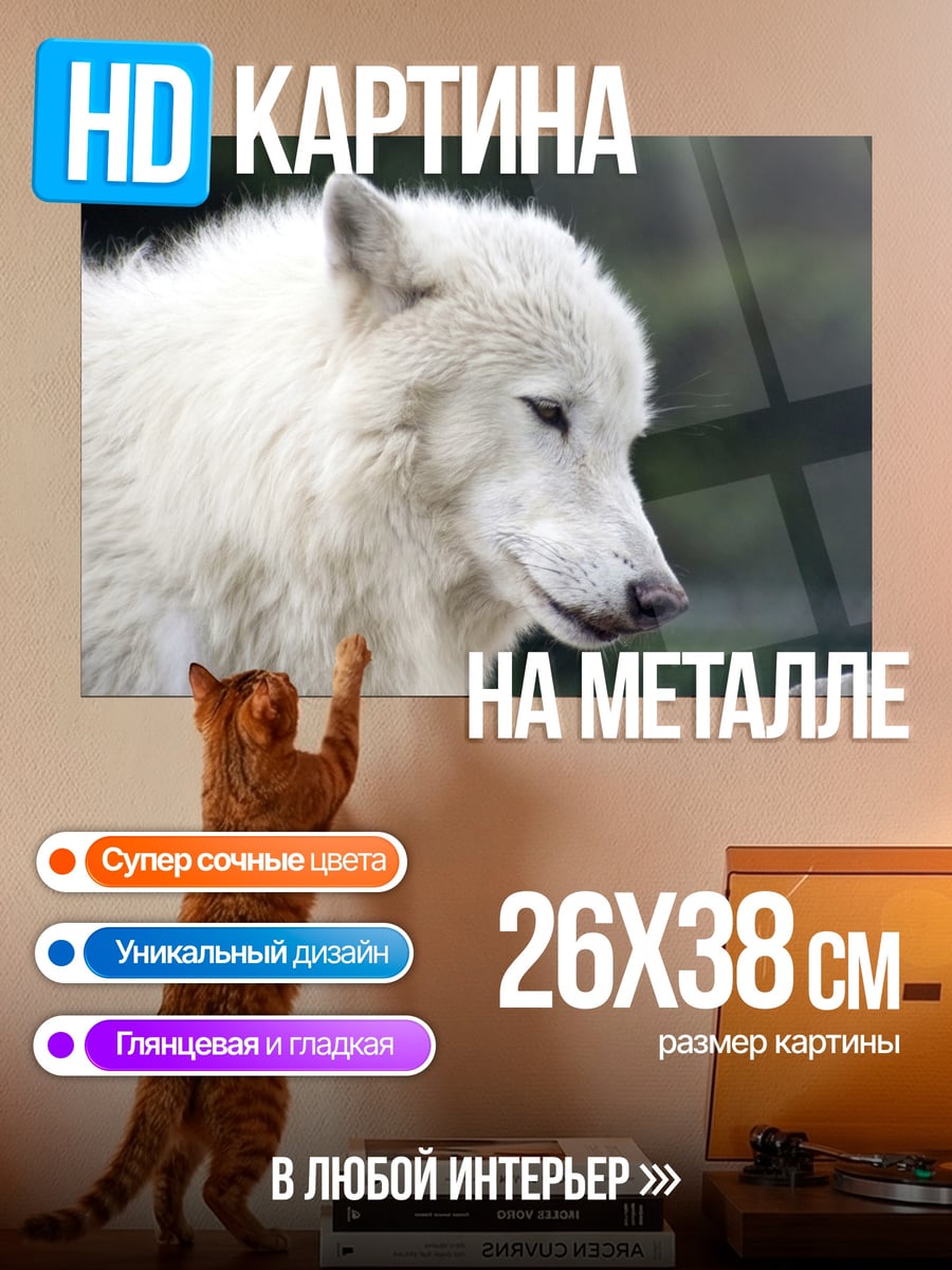 Картина на металле Белый волк