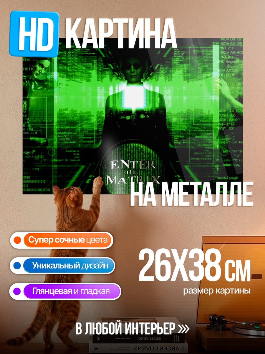 Картина на металле Вход в матрицу