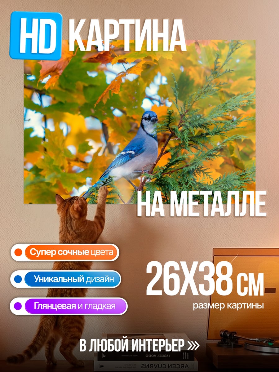 Картина на металле Сойка осенью