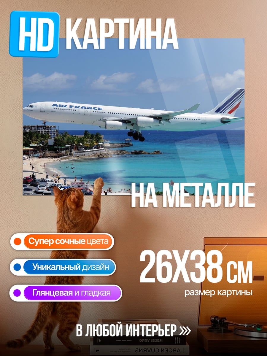 Картина на металле Самолет над морем