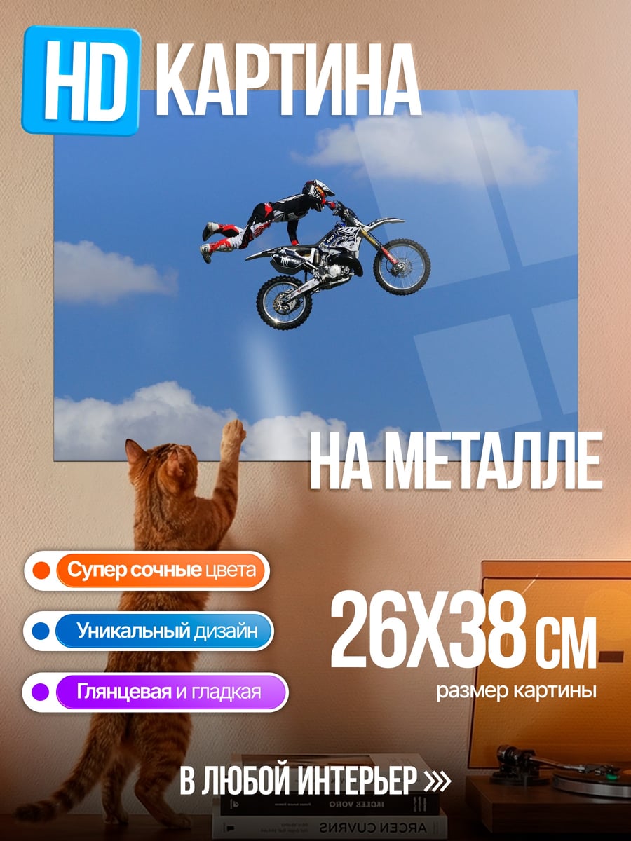 Картина на металле Мотофристайл в небе