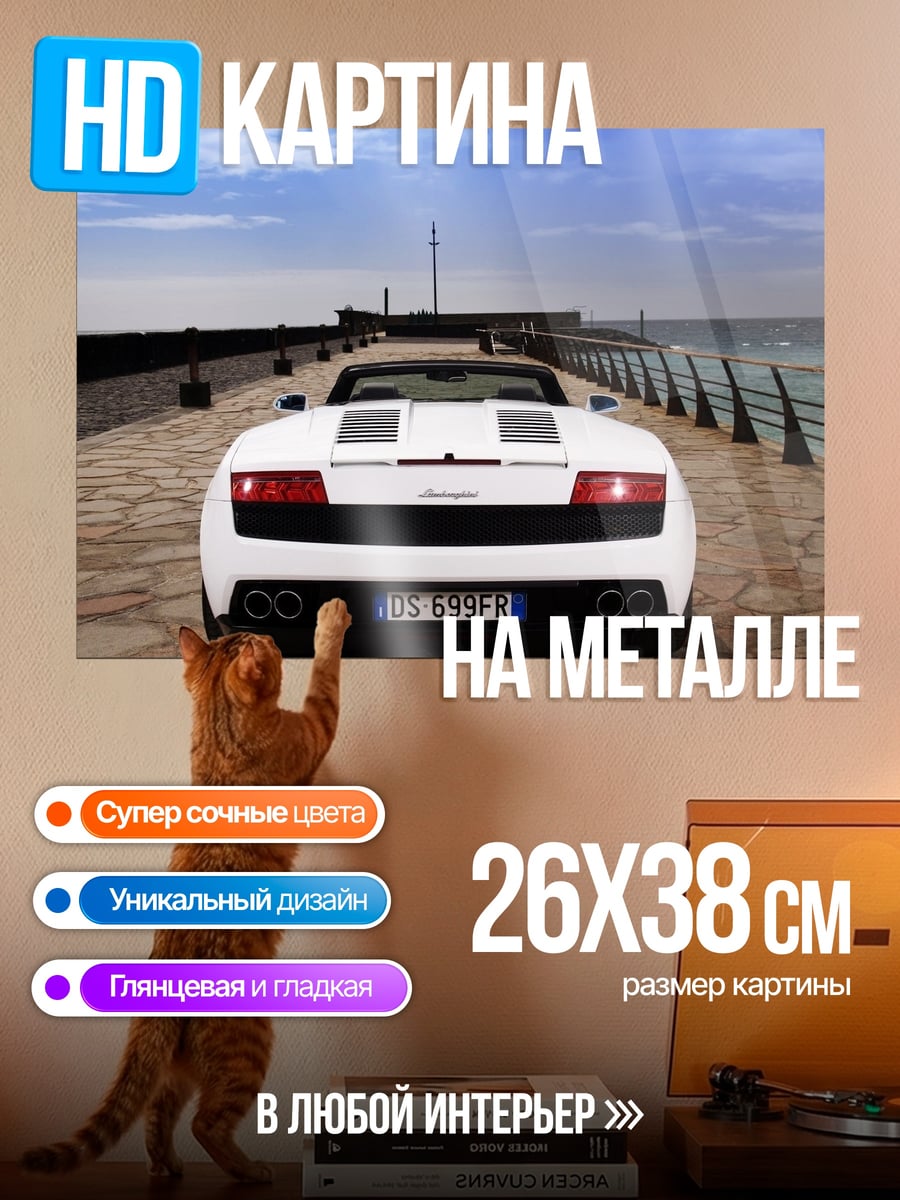 Картина на металле Белый Lamborghini