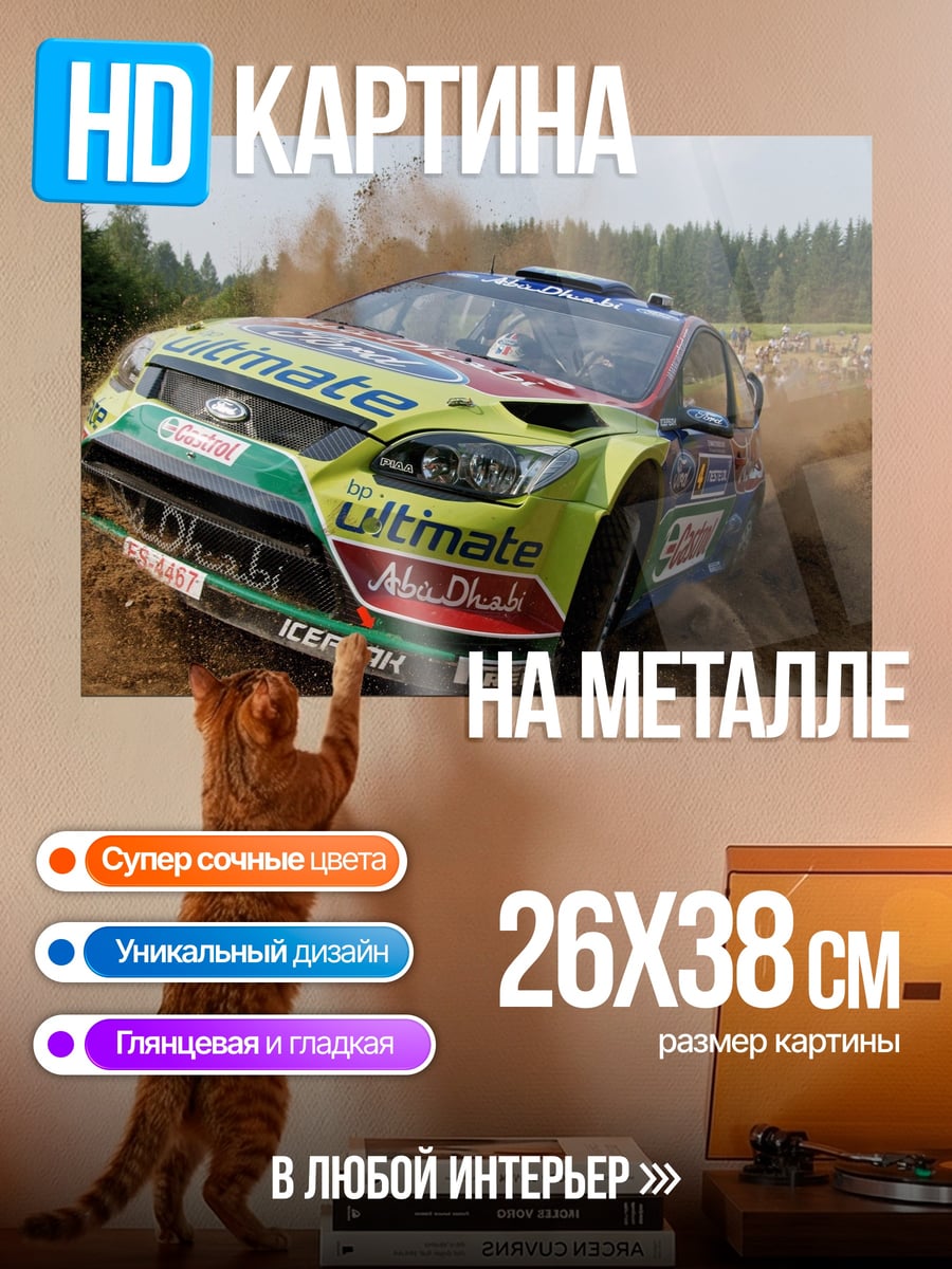 Картина на металле Ралли гоночный автомобиль