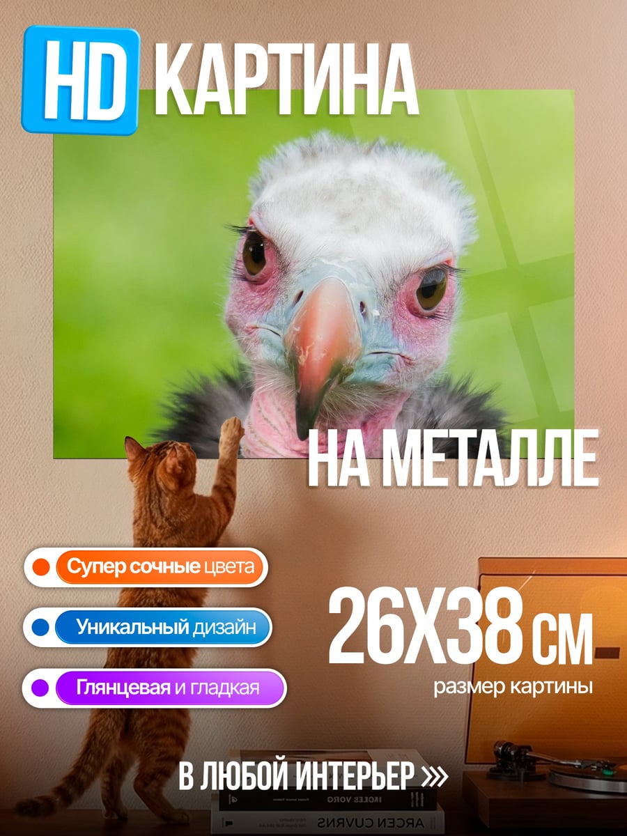 Картина на металле Гриф