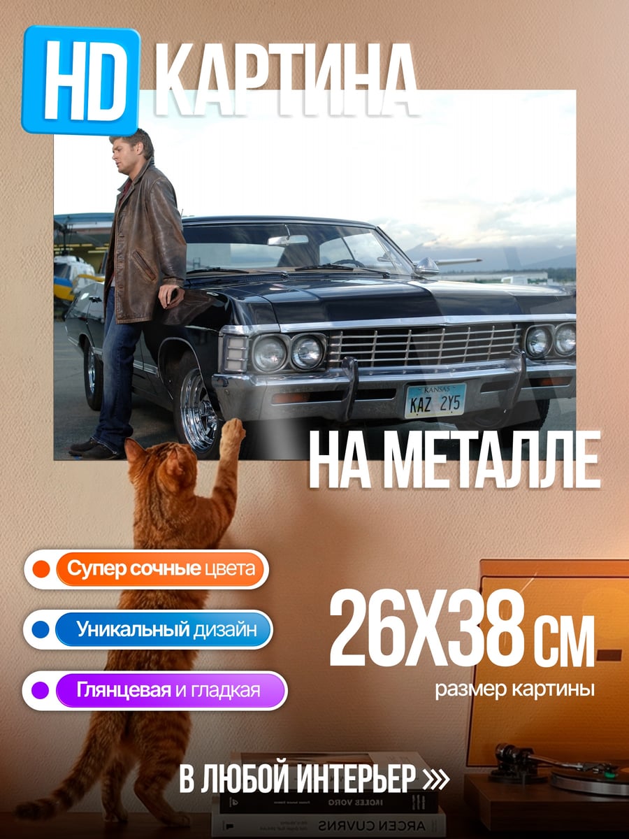 Картина на металле мужчина у машины