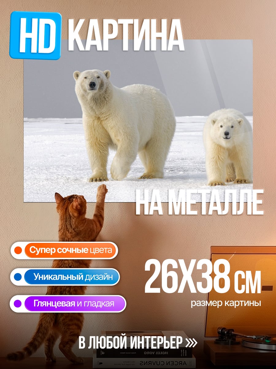 Картина на металле белые медведи на снегу