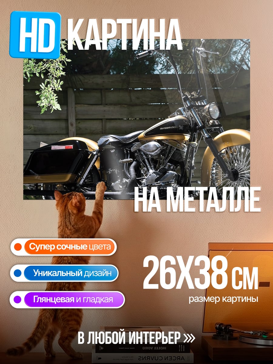 Картина на металле Золотой чоппер
