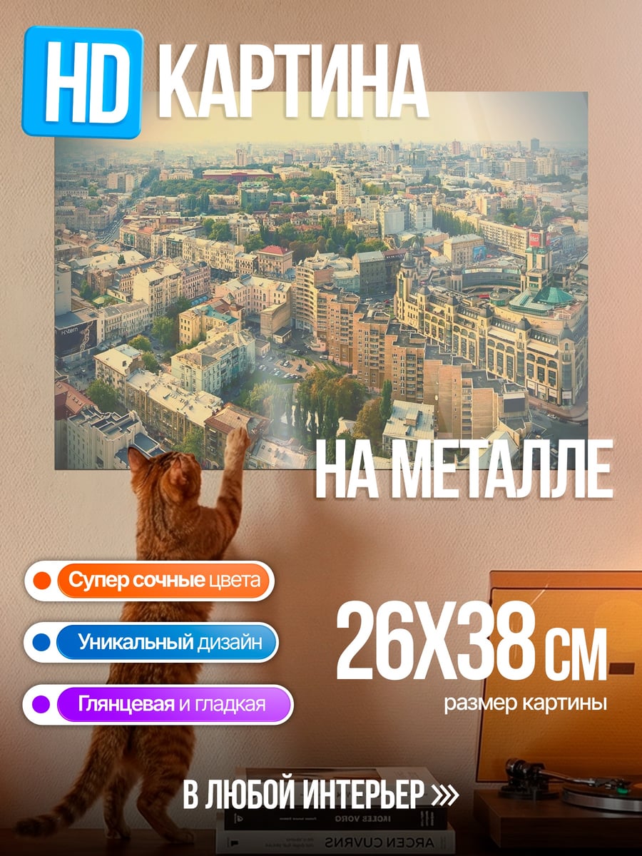 Картина на металле Городской пейзаж с высоты