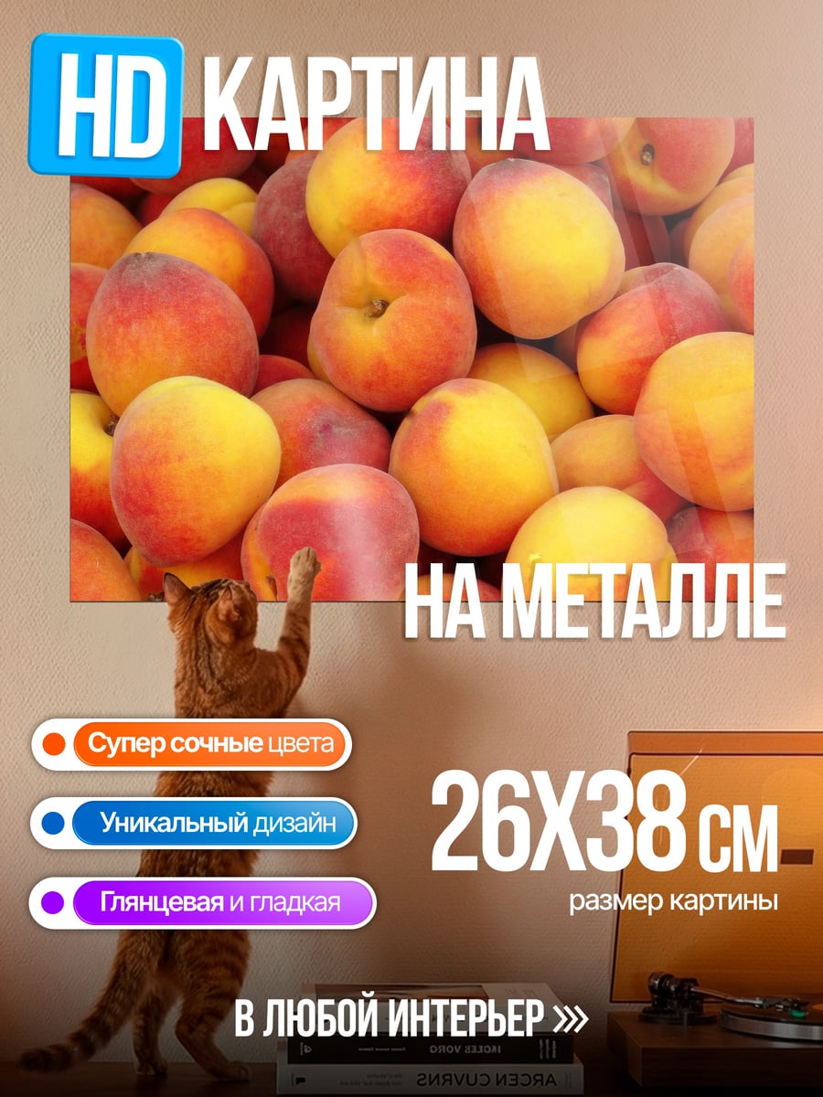 Картина на металле Спелые персики крупным планом