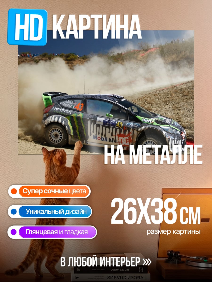 Картина на металле Ралли на бездорожье