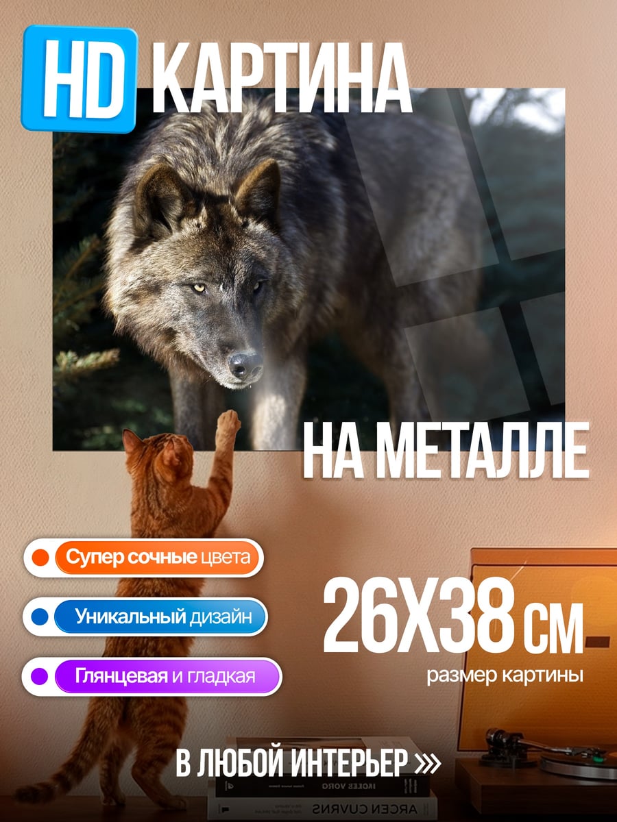 Картина на металле Черный волк