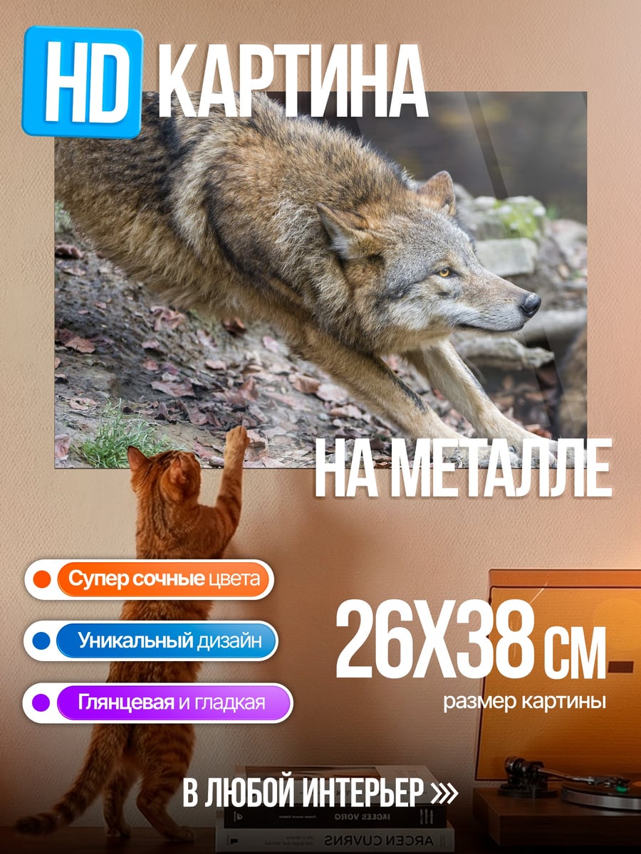 Картина на металле Зимний волк потягивается