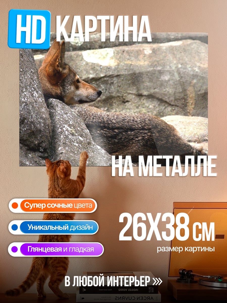 Картина на металле Волк на камнях