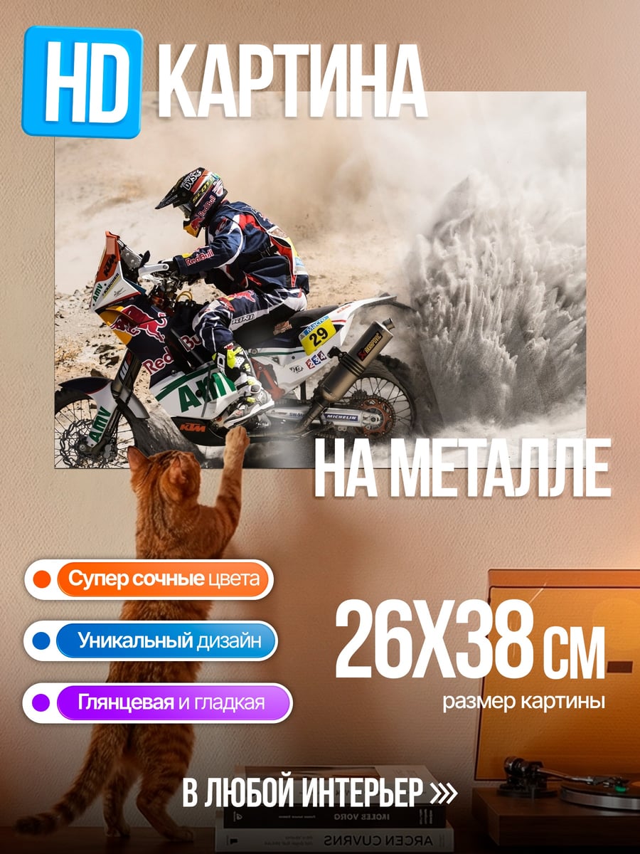 Картина на металле Ралли Дакар