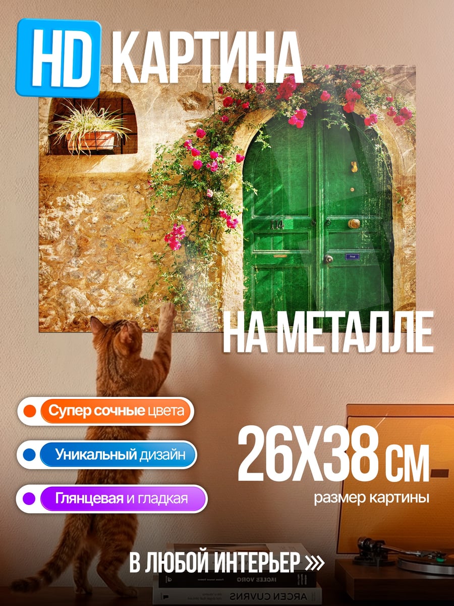 Картина на металле Зеленая дверь