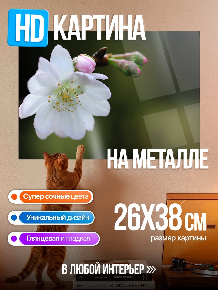 Картина на металле Цветок сакуры