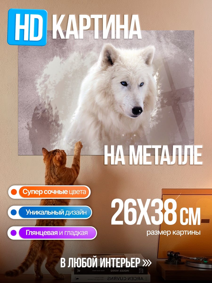 Картина на металле Белый волк