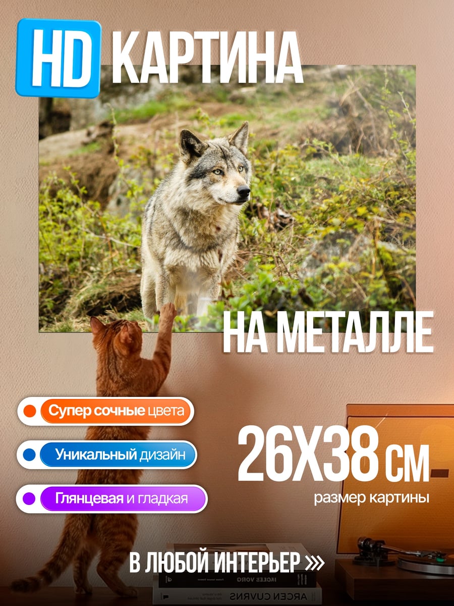 Картина на металле серый волк в лесу