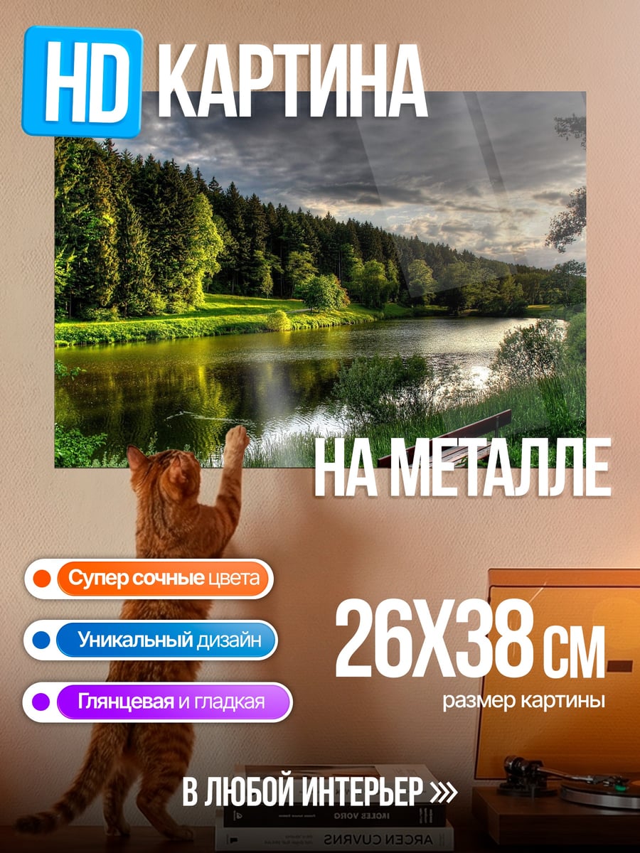 Картина на металле Летний лесной пейзаж