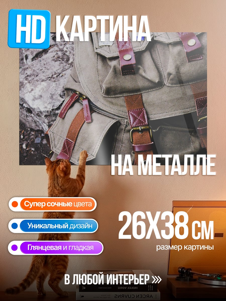 Картина на металле Рюкзак с нашивками