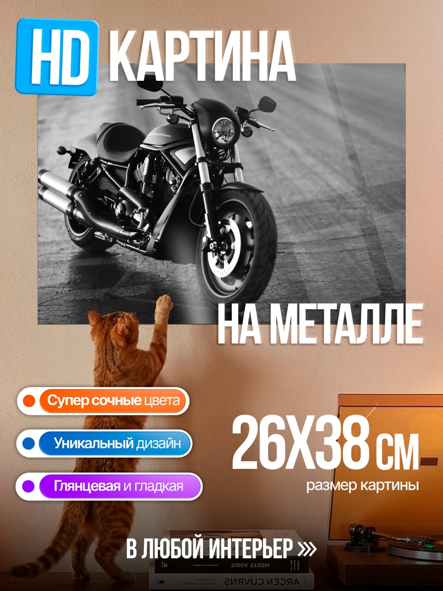 Картина на металле Мотоцикл на дороге