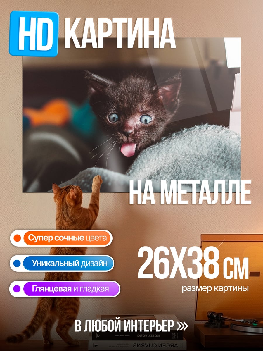 Картина на металле Черный котенок